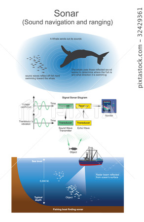 Sonar. Sound Navigation And Ranging. - Stock Illustration [32429361 ...