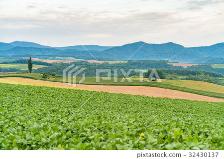 "Hokkaido" Biei and countryside landscape "Hokkaido" Biei and countryside landscape 32430137