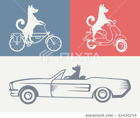 Vector set sign dog Vector set sign dog 32430254