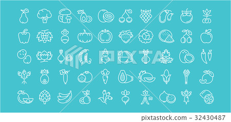 Set Vector Flat Line Icons Vegetables and Fruit 32430487