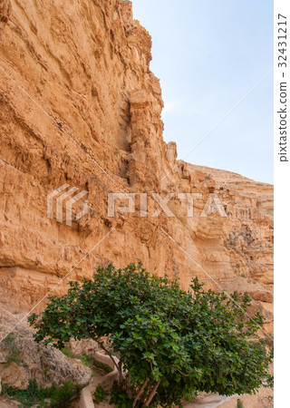 Wadi Qelt in Judean desert around St. George 32431217