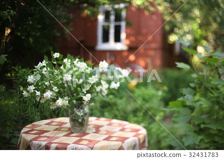 jasmin flowers bouquet in crystal vase on summer garden  32431783