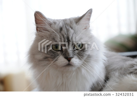 Looking at Minuet, "Something to worry about me" 32432031