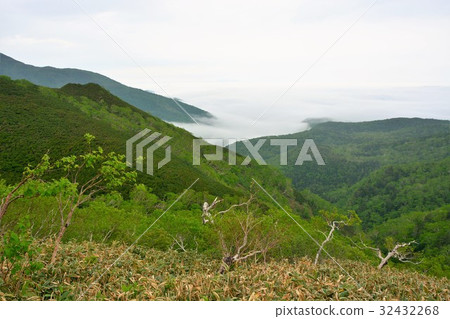 知床通過Rausu在雨中 知床通過Rausu在雨中 32432268