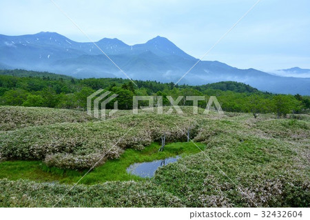 Shiretoko Goko 32432604