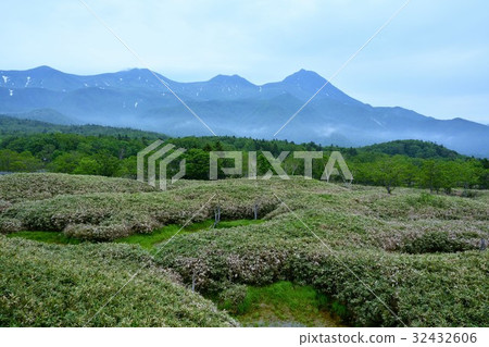 Shiretoko Goko 32432606