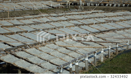 瓊脂的陽光燦爛的陽光 32433492