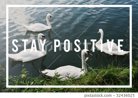 Moments Positive Good Love Dream Moments Positive Good Love Dream 32436025