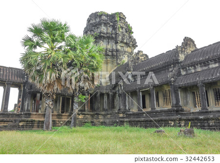 Angkor Wat 32442653