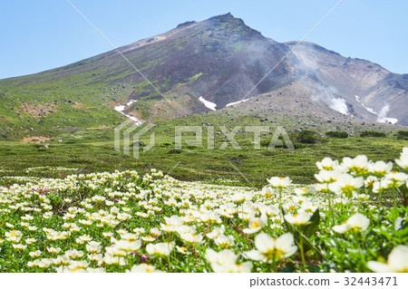 Asahi-dake and Tingleuma Asahi-dake and Tingleuma 32443471