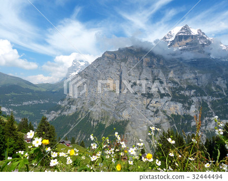 View from the Murren meadow 32444494