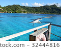 Sea Bird at Tahiti _ Bora Bora 32444816