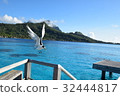 Sea Bird at Tahiti _ Bora Bora 32444817