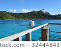 Sea Bird at Tahiti _ Bora Bora 32444843