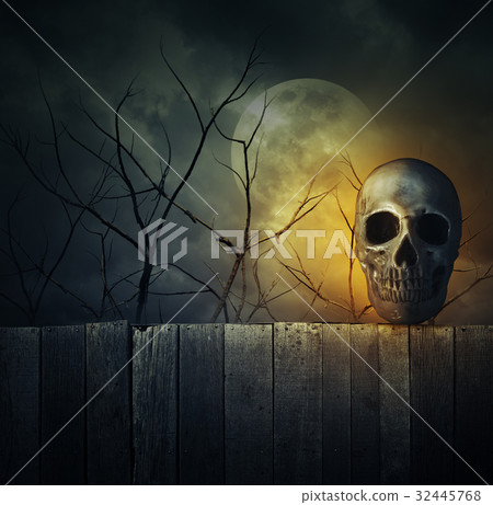 Human skull on old wood wall over dead tree 32445768