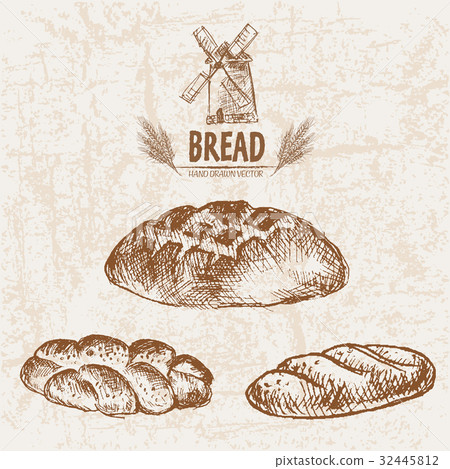 Digital vector detailed line 32445812