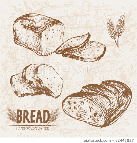 Digital vector detailed line art Digital vector detailed line art 32445837