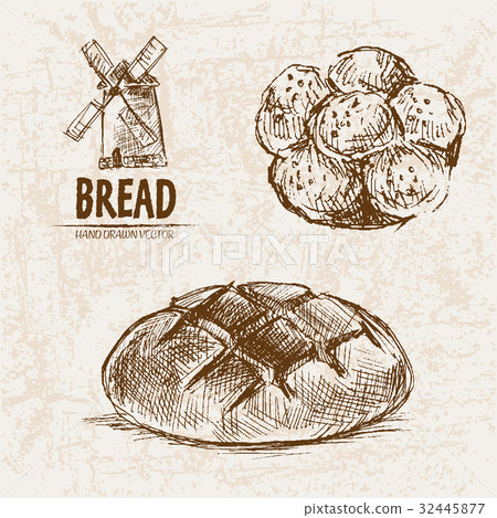 Digital vector detailed line art 32445877