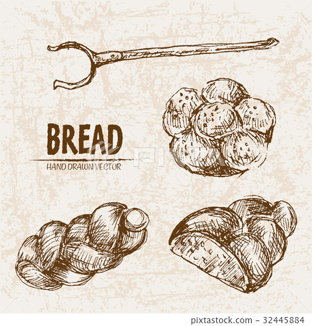 Digital vector detailed line art 32445884