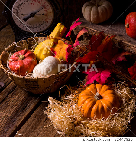 Cornucopia 32447826