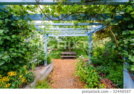 Summer herb garden 32448587