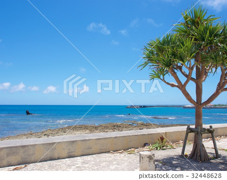 Along Okinawa Aza Road 32448628