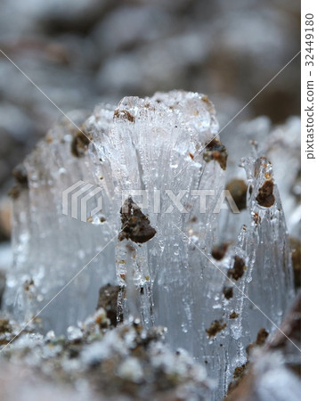 霜柱特寫非常冷 32449180