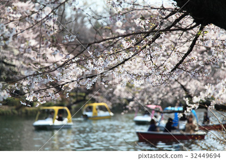 Cherry blossoms and boats Cherry blossoms and boats 32449694