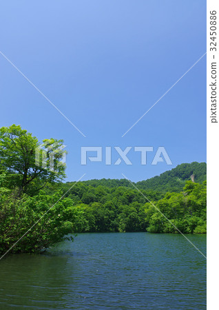 Ame Kogen Takamori 32450886