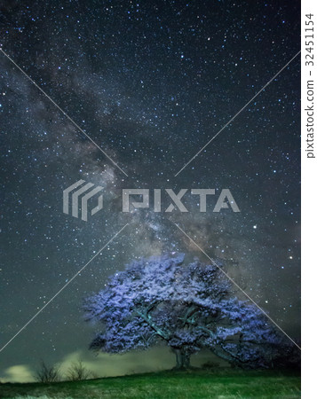 Yoyama cherry tree and Milky Way 32451154