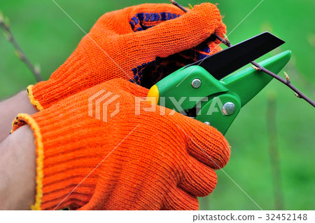 Gardener's hands in gloves with garden scissors 32452148