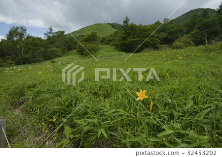 Nikko Kohsen · Kiri Takahara Kisugehei (Tochigi Prefecture) Nikko Kohsen · Kiri Takahara Kisugehei (Tochigi Prefecture) 32453202