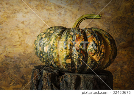 still life pumpkin. 32453675