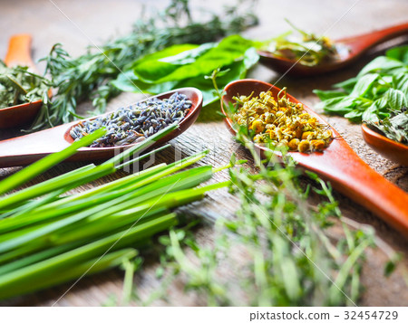 草藥 草藥 32454729