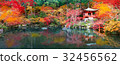 The autumn leaves Daigoji temple in Kyoto 32456562