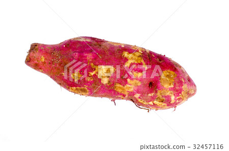 cassava root 32457116