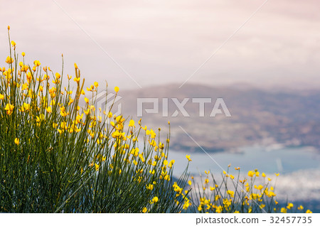 Panorama of the Greek city of Volos Panorama of the Greek city of Volos 32457735