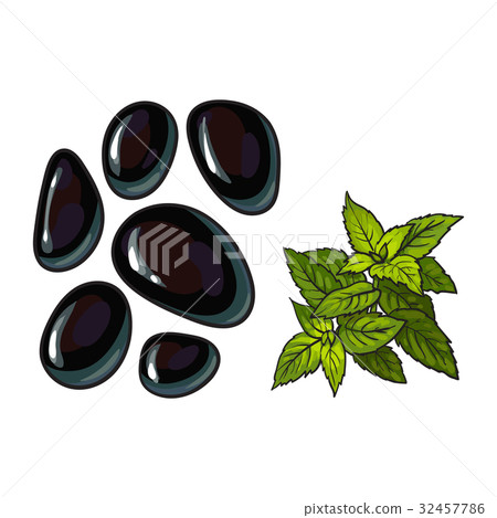 Black basalt massage stones and mint leaves, spa Black basalt massage stones and mint leaves, spa 32457786