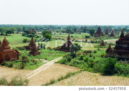 A forested pagoda (Bagan plain / Myanmar) 32457958