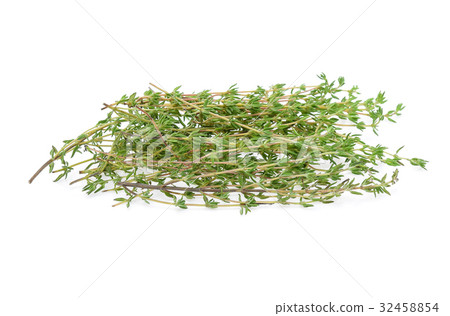 Thyme sprigs isolated on a white background Thyme sprigs isolated on a white background 32458854