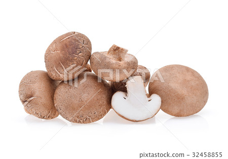 Shiitake mushroom on the White background Shiitake mushroom on the White background 32458855