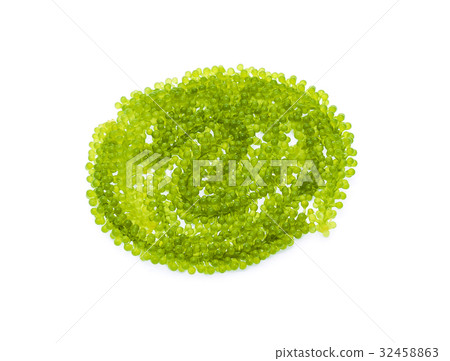 Umi-budou, grapes seaweed or green caviar 32458863
