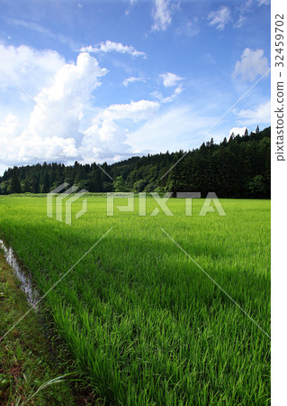 Summer countryside Summer countryside 32459702