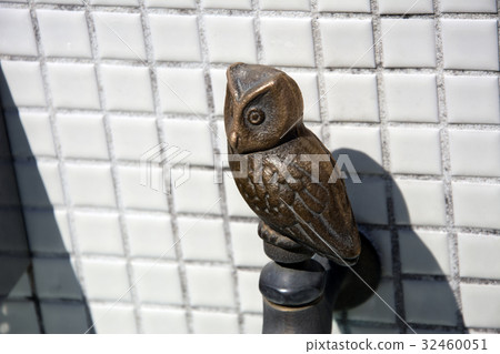 動物龍頭貓頭鷹 動物龍頭貓頭鷹 32460051