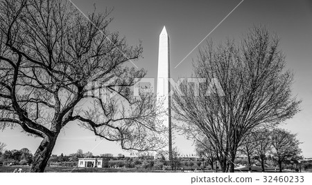 Washington Monument on a sunny day Washington Monument on a sunny day 32460233