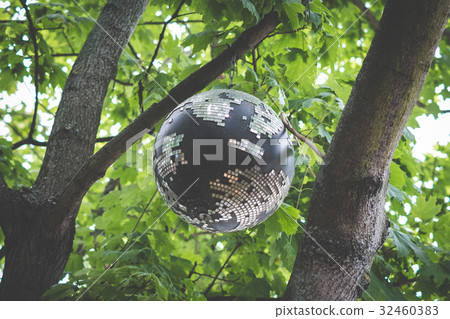 old disco ball hanging in trees - disco ball old disco ball hanging in trees - disco ball 32460383