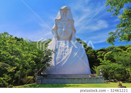 新鮮的綠色雙簧管觀音 32461221