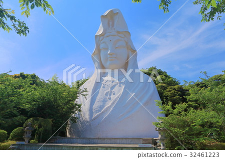 新鮮的綠色雙簧管觀音 32461223