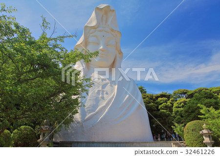 新鮮的綠色雙簧管觀音 新鮮的綠色雙簧管觀音 32461226