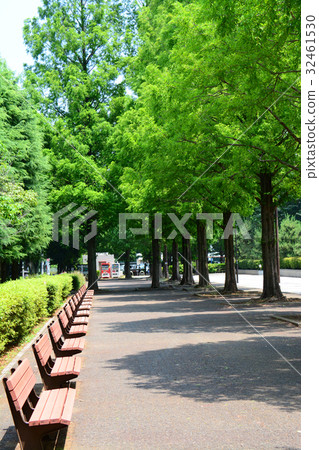 埼玉縣朝霞市朝霞中央公園 32461530